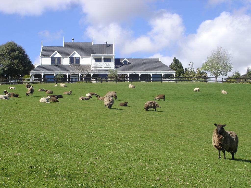וואיפו Country Homestead At Black Sheep Farm מראה חיצוני תמונה